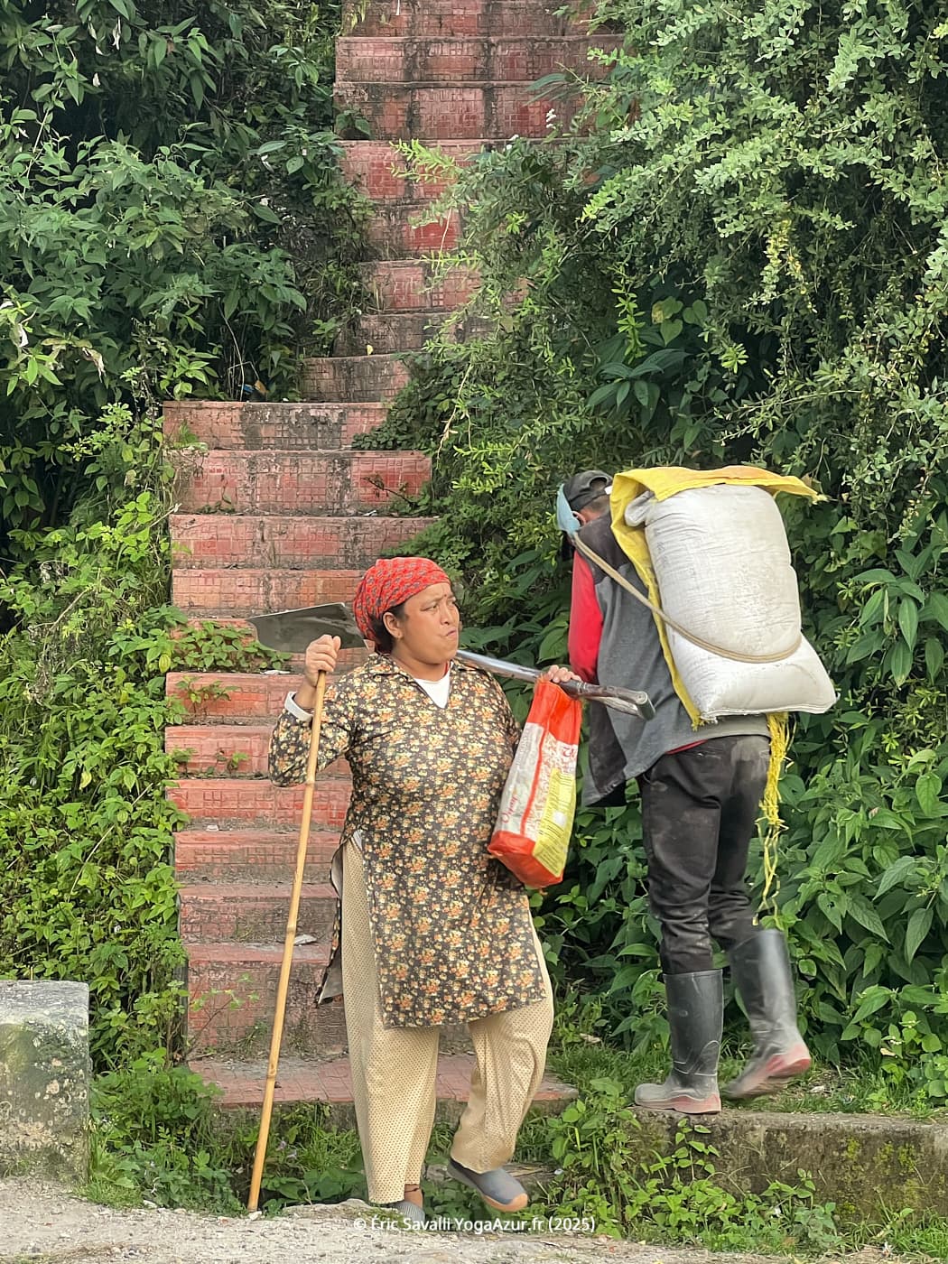 Image 12
