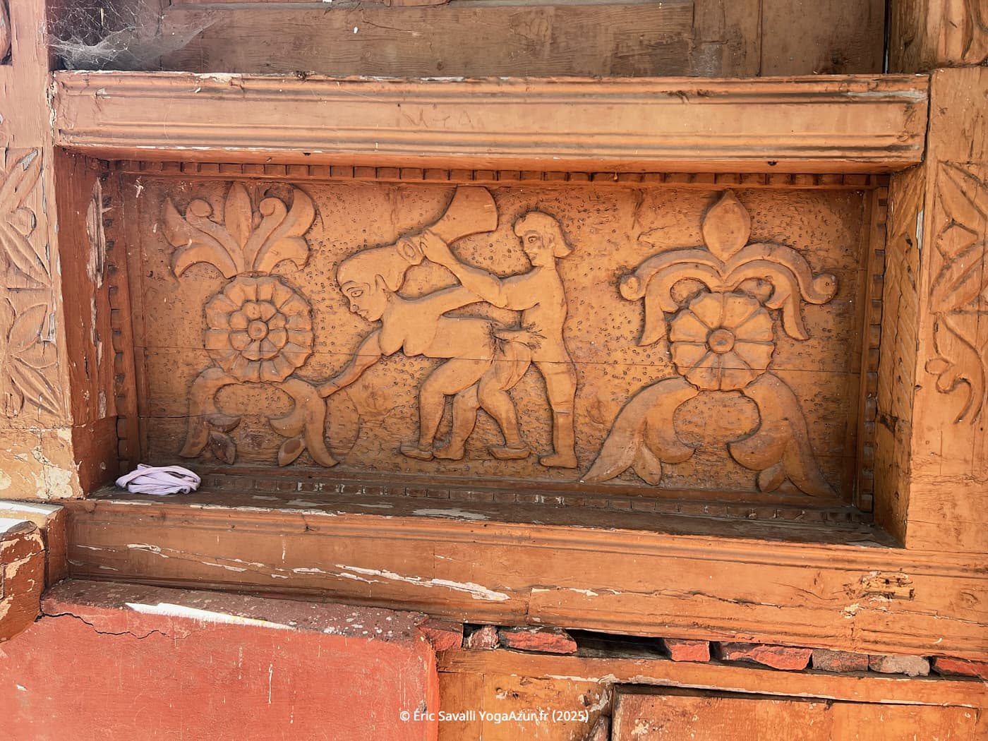 Image 5