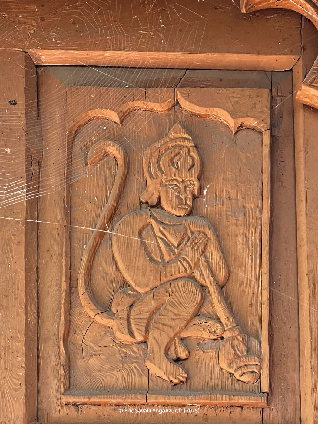 Image 6