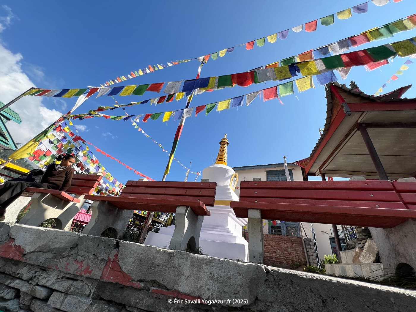 Image 10
