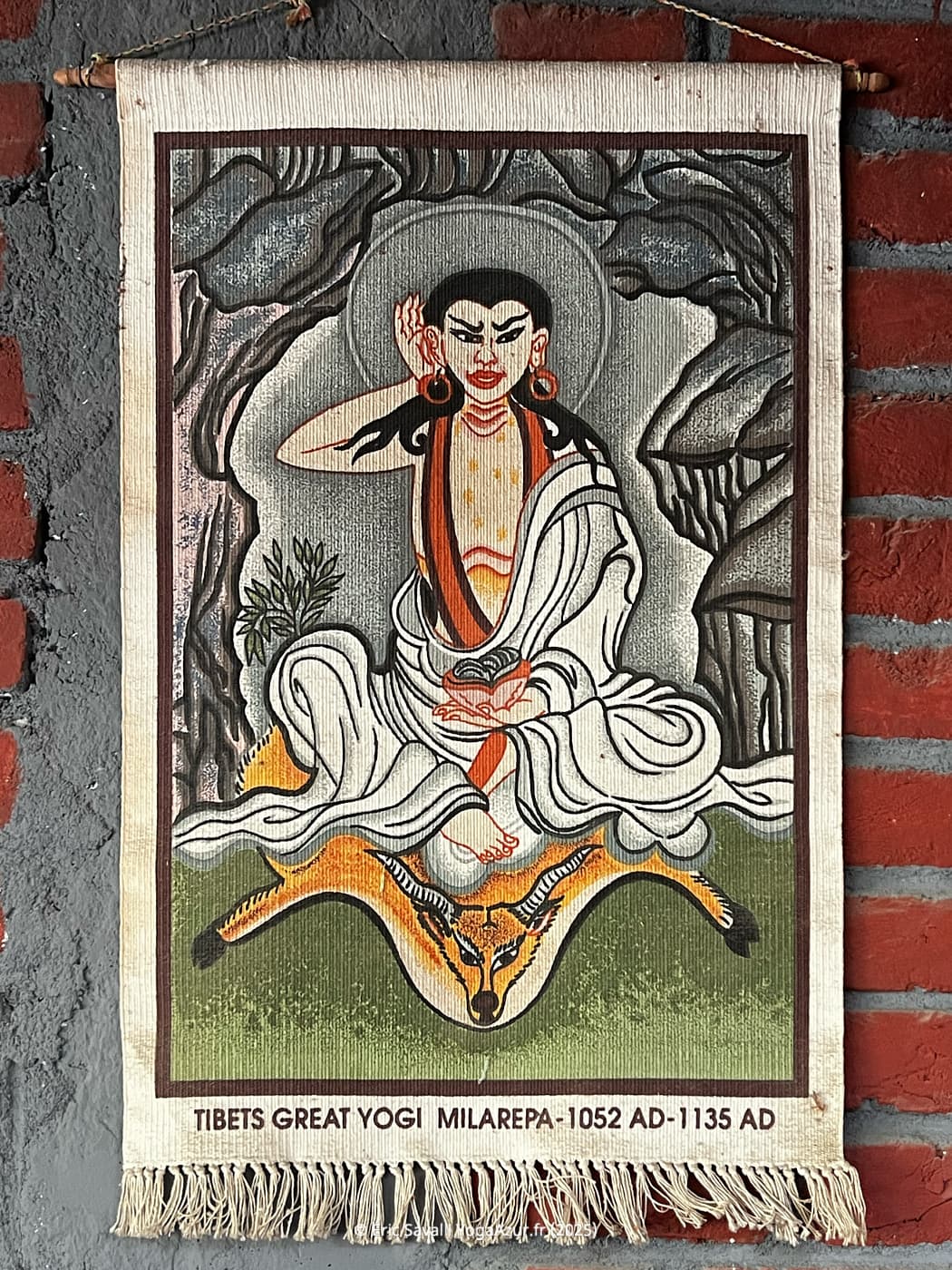 Image 21