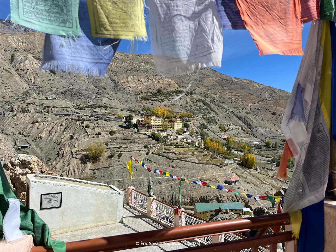 Image 12