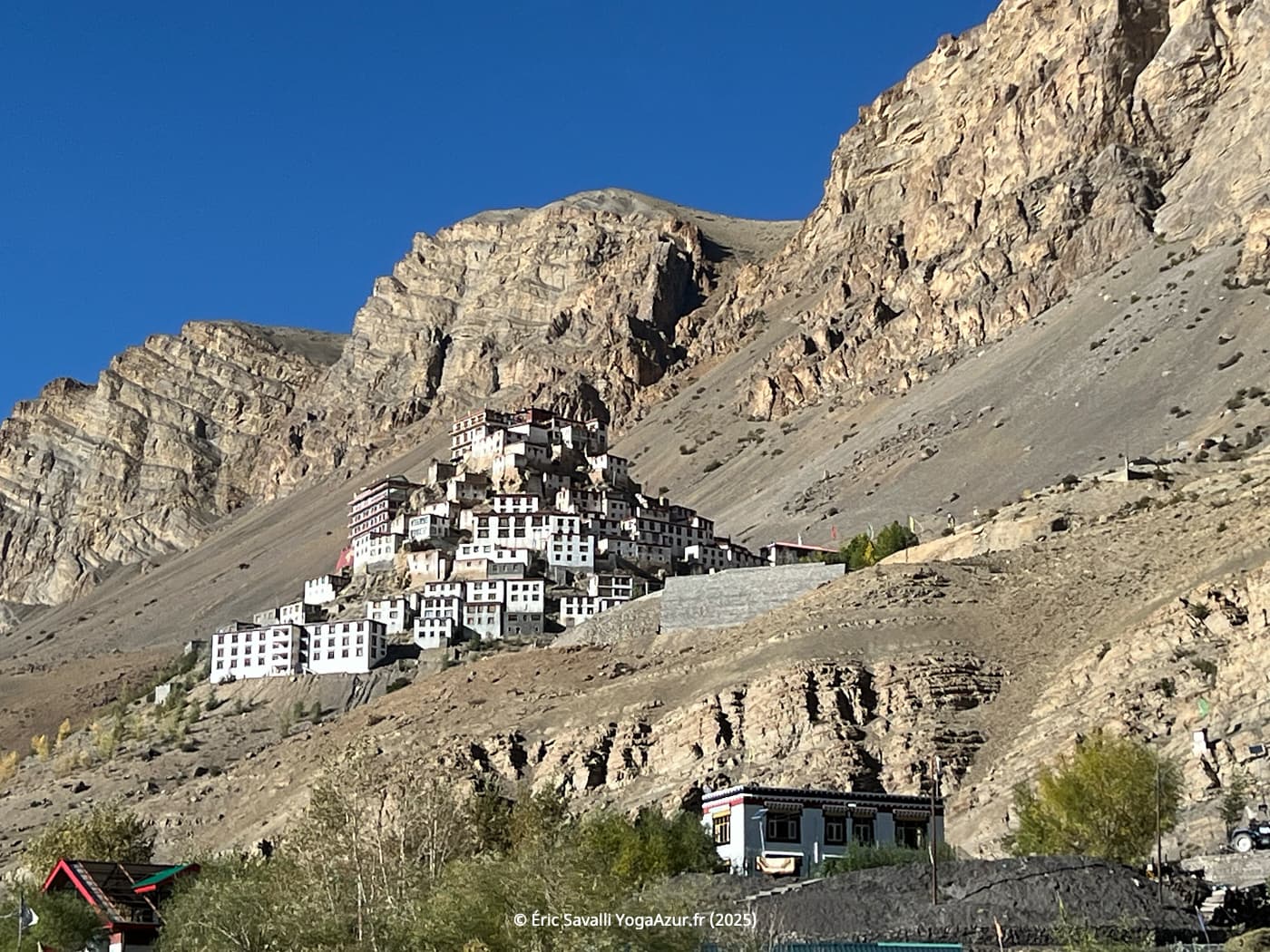 Image 15