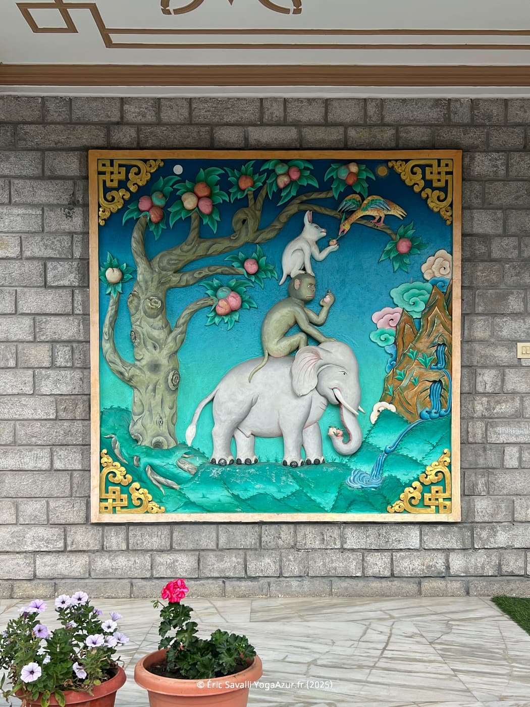 Image 24