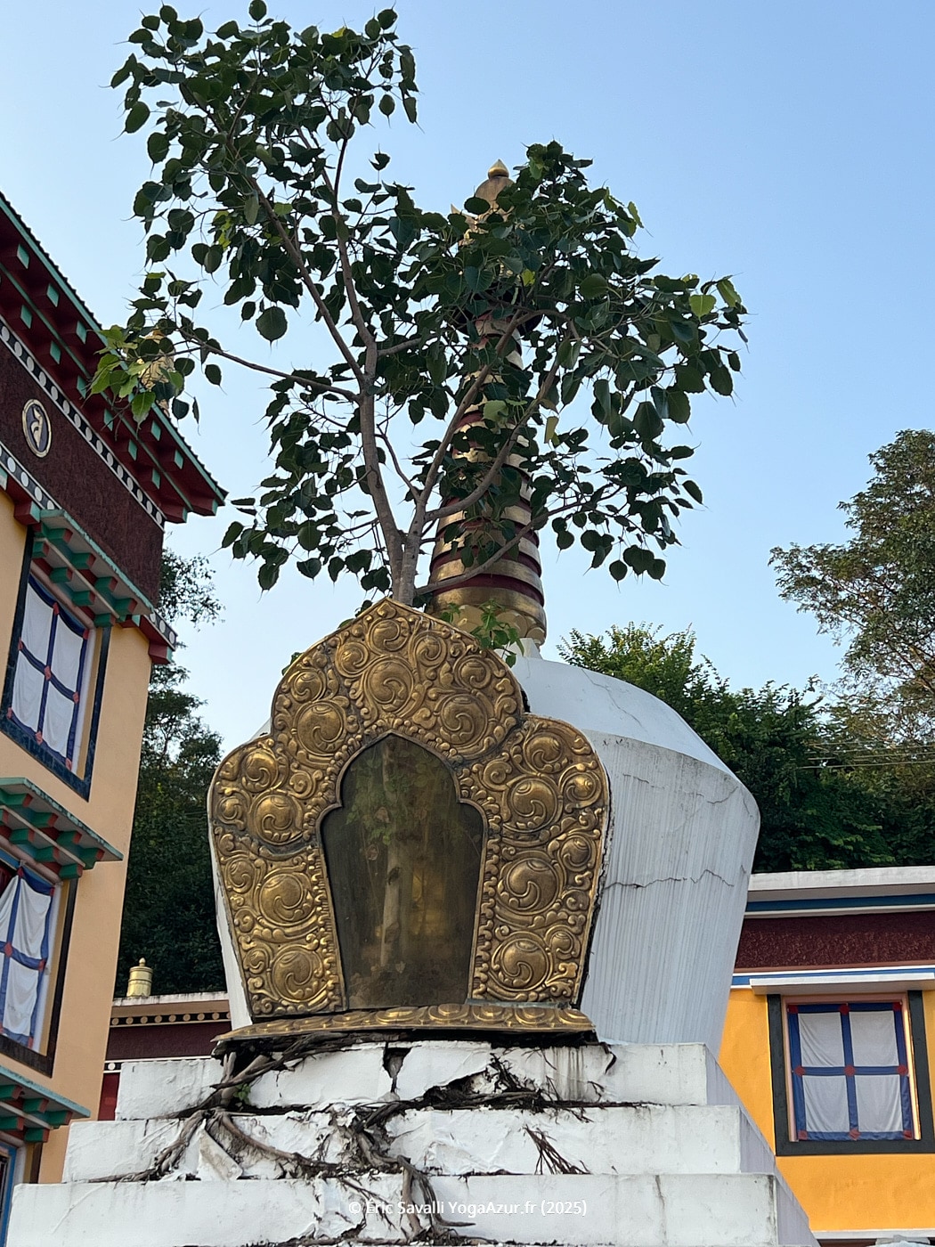 Image 20