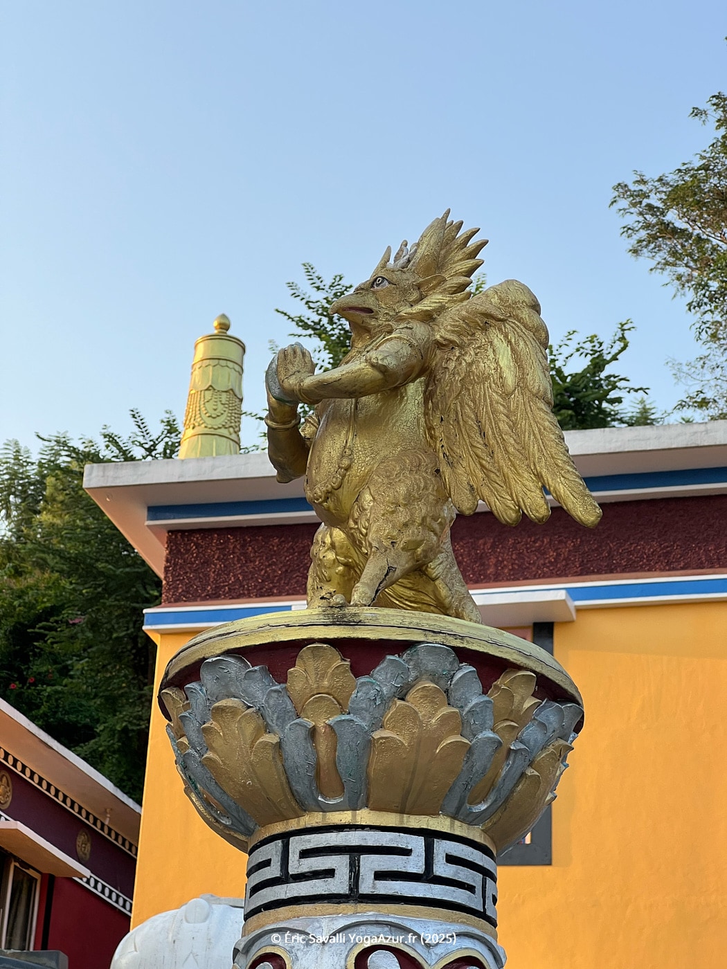 Image 21