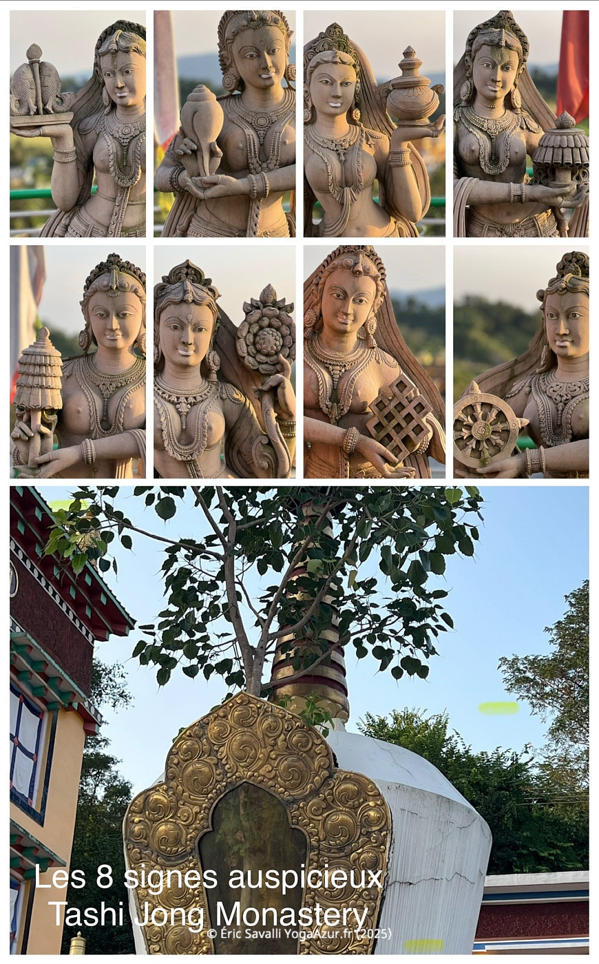 Image 25