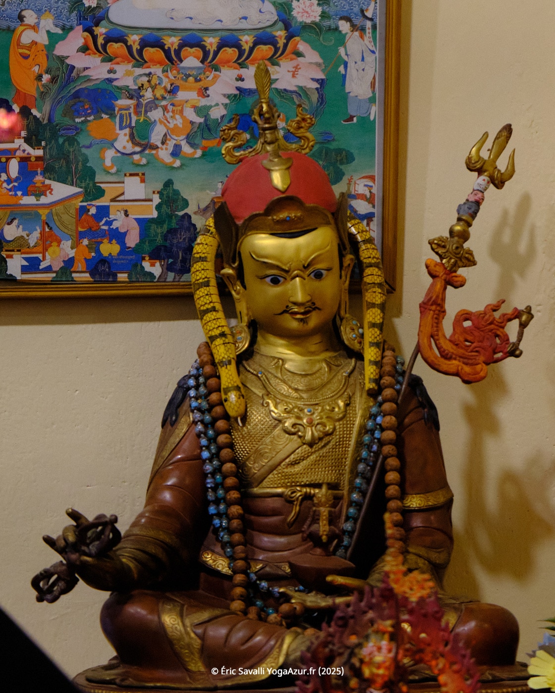 Image 21