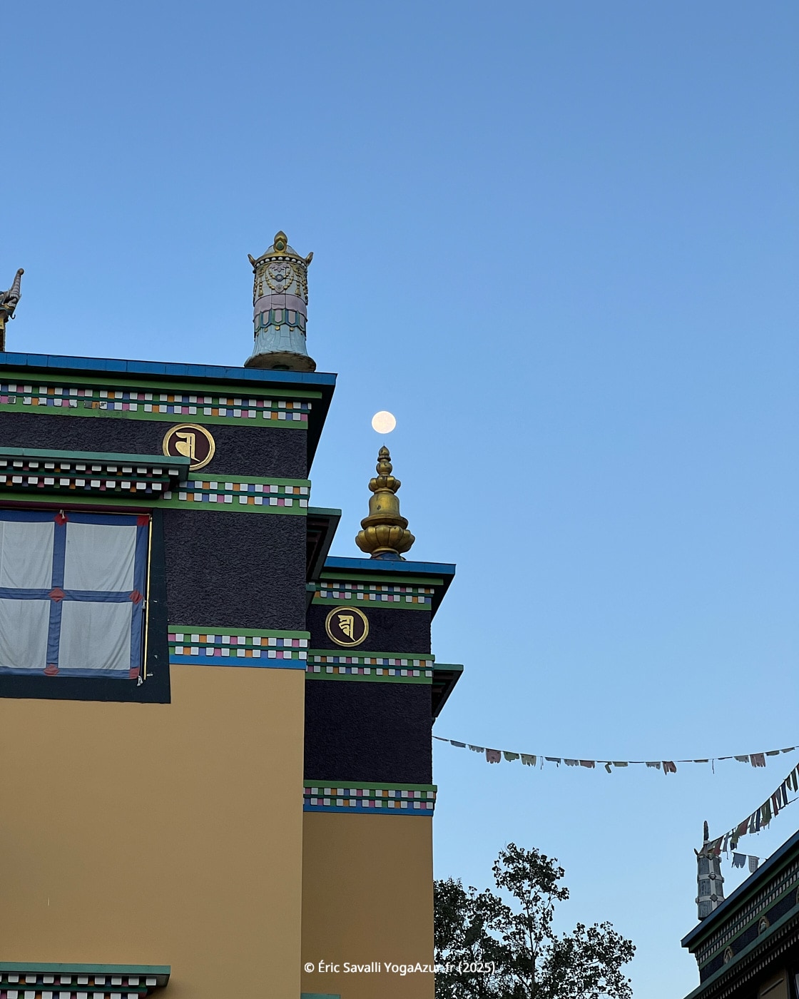 Image 28