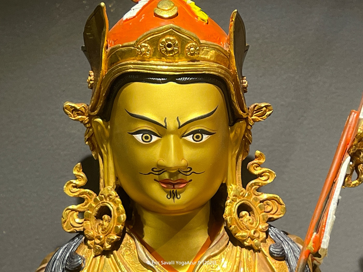 Image 10