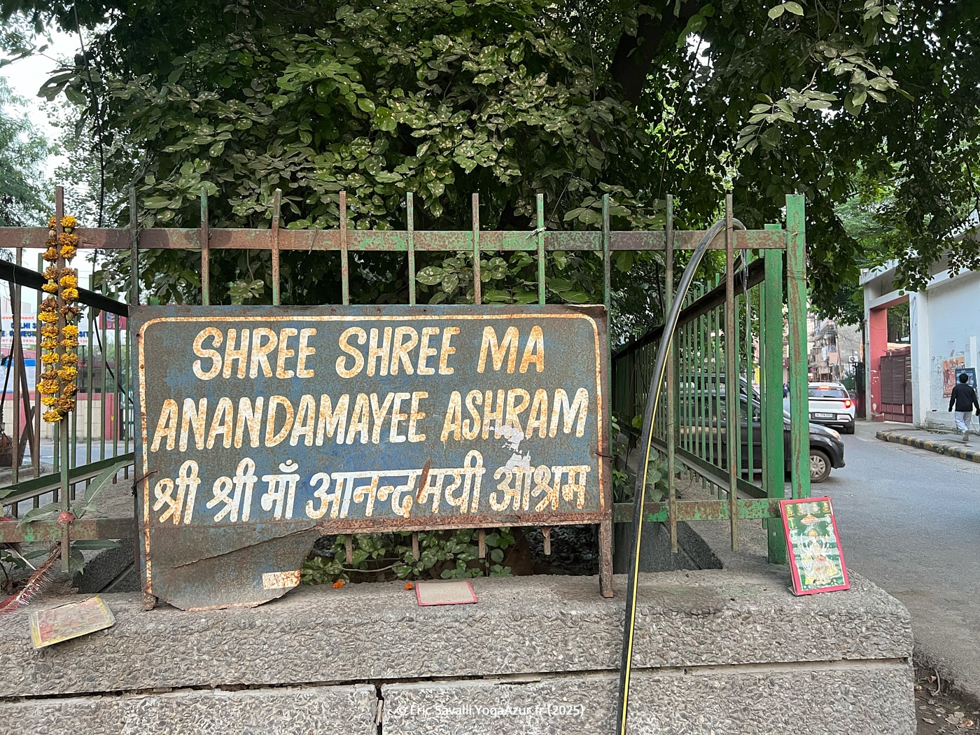 Image 12