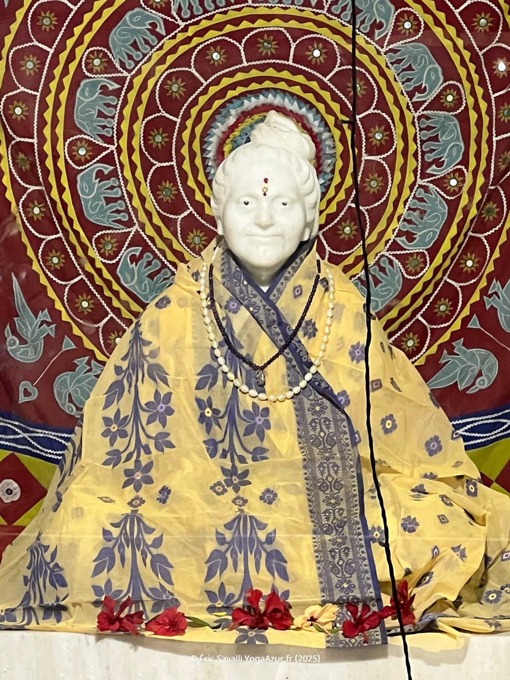 Image 20