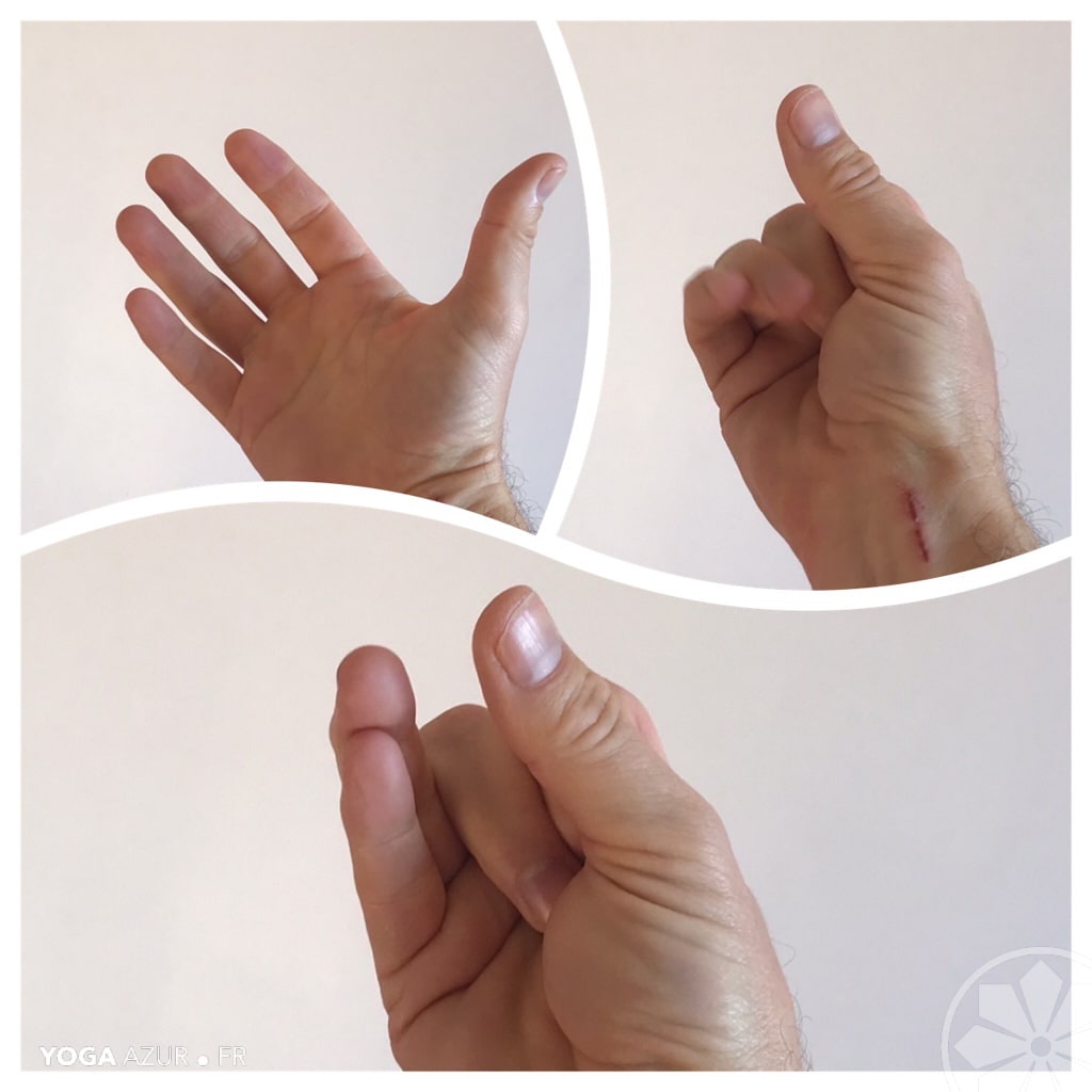 Mrgi mudra, mudra du daim