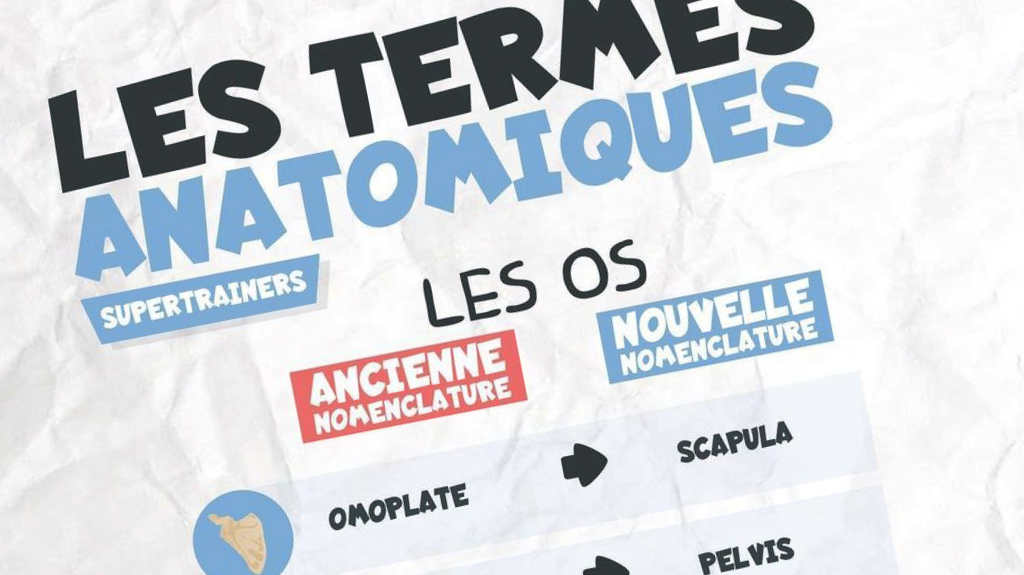 nomina-anatomica