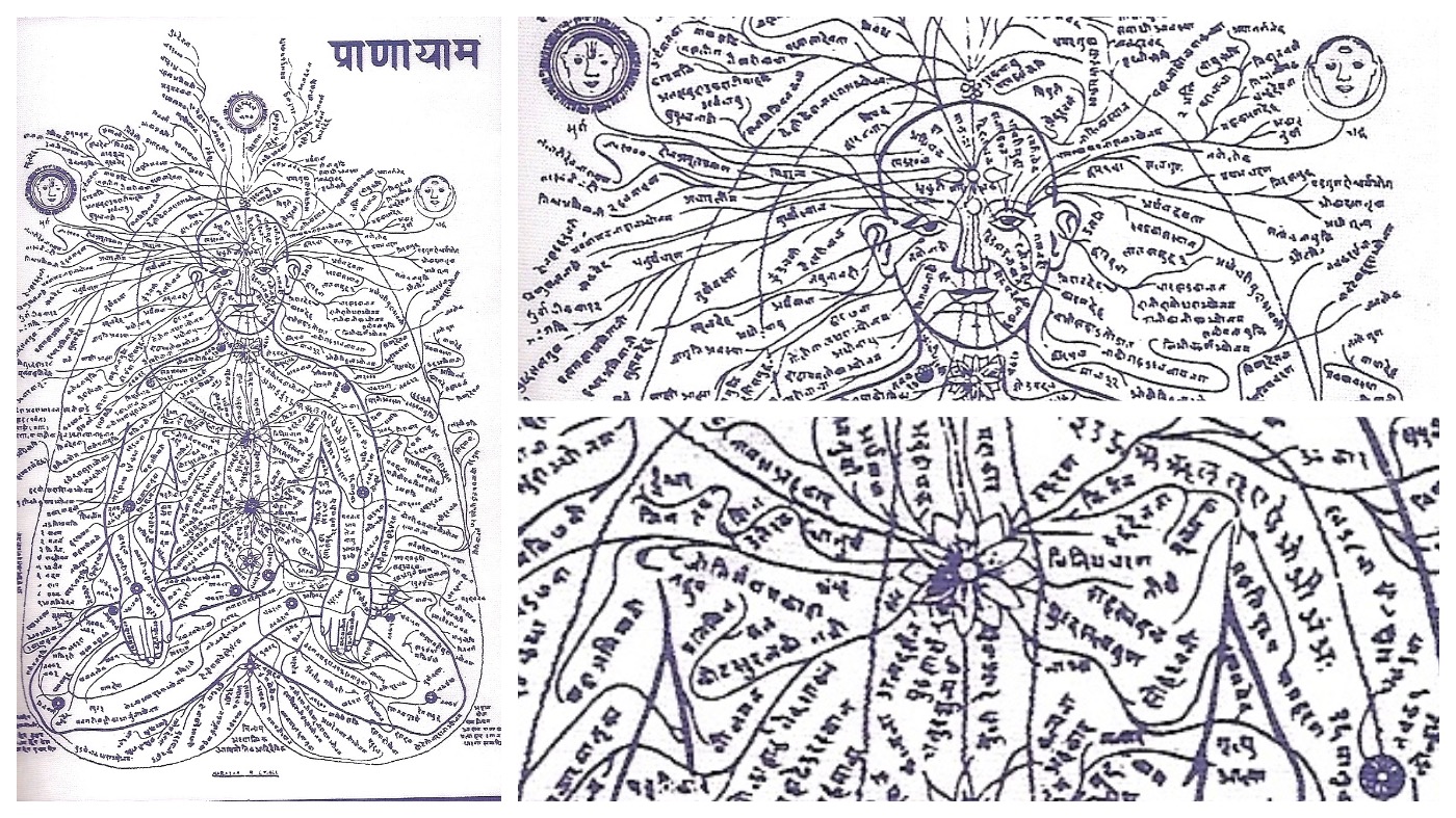nadis & chakras