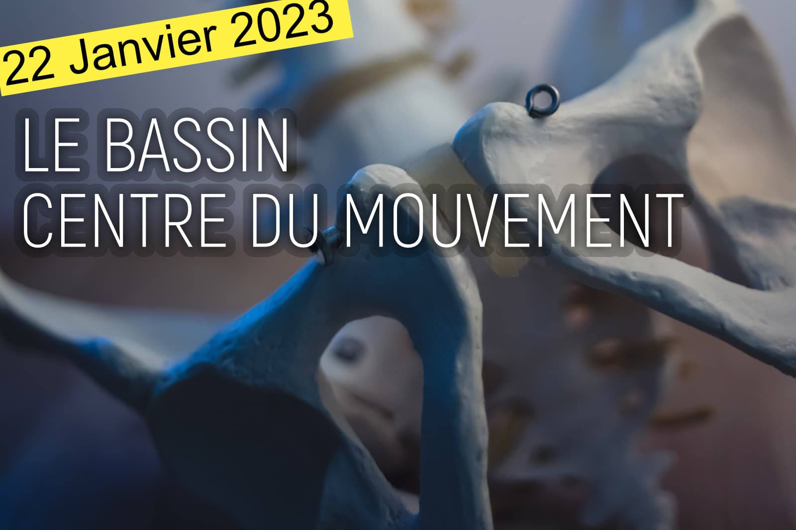 Le Bassin - Stage Anne Debreilly